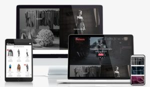 Website Development Winnipeg | Web Development Winnipeg