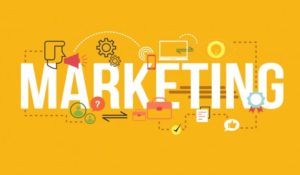 eCommerce Marketing | Digital Marketing Winnipeg